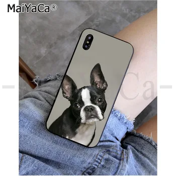MaiYaCa Dzīvnieku bostonas terjers suns Modelis TPU Mīksto Telefonu Aksesuāri Telefonu Gadījumā iPhone 8 7 6 6S Plus X XS MAX 5 5S SE XR Attēls 2